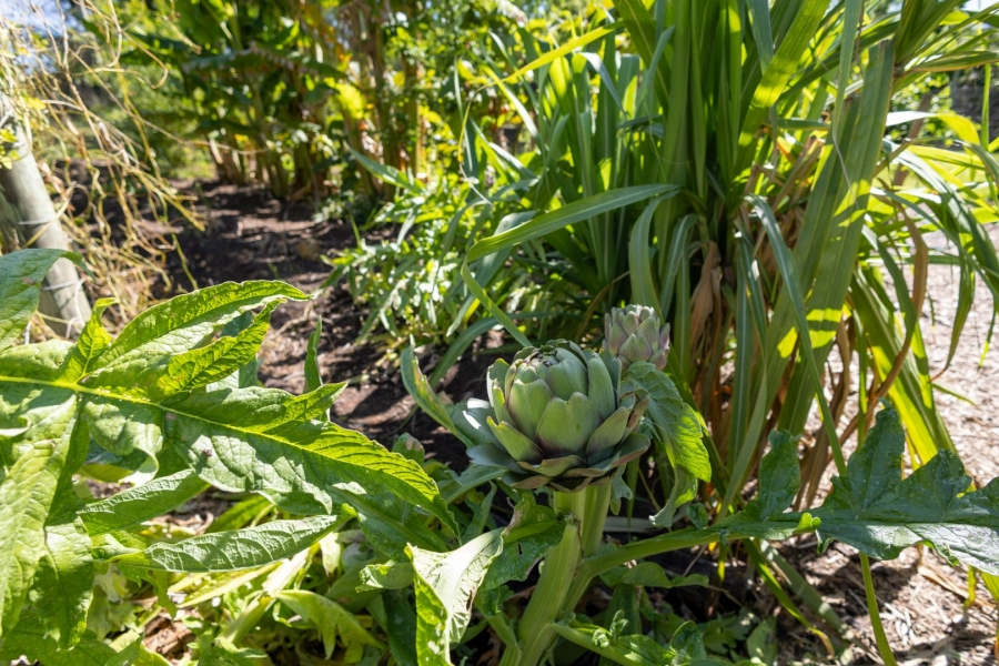 Commercial Property for Sale in Eastford Western Cape